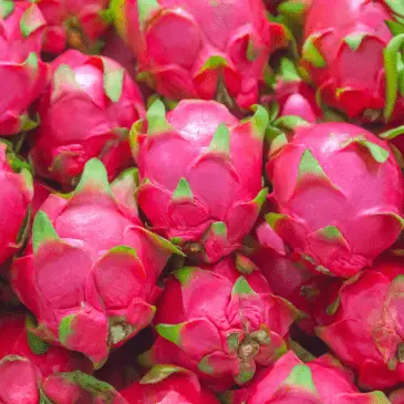 Dragon Fruit