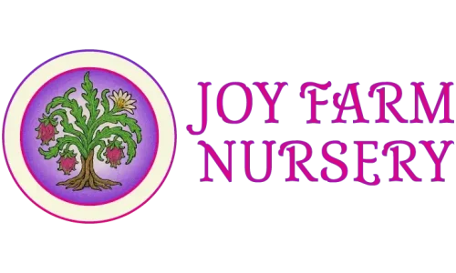 Joy Farm Nursery